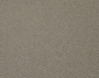 [400111233_10] Carve Classic - 431-Leem-1